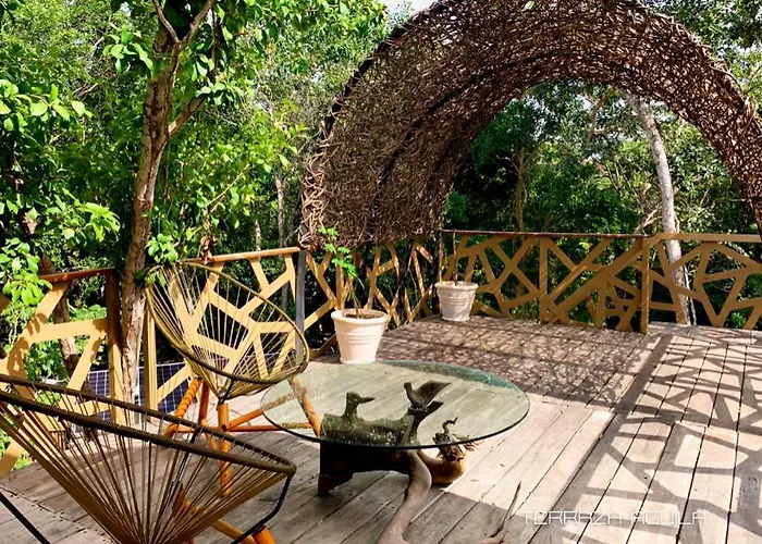 Bufo Alvarius Hotel Tulum