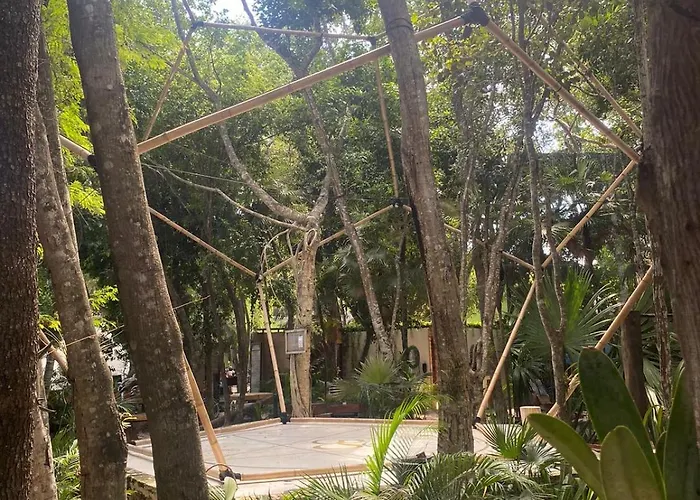 Bufo Alvarius Hotel Tulum