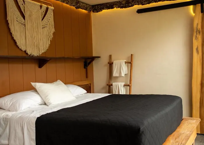 Hotel Bufo Alvarius