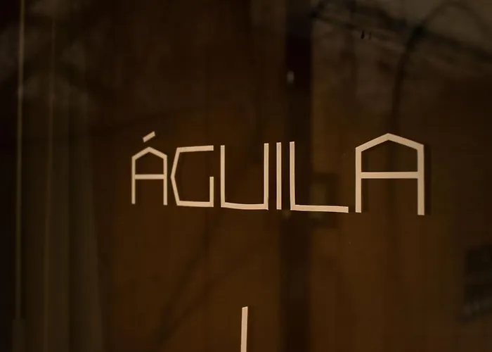 Bufo Alvarius Hotel Tulum