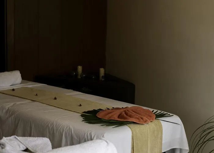 Hotel Bufo Alvarius 2*