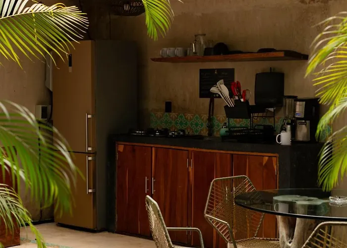 Bufo Alvarius Hotel 2*