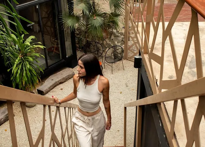 Bufo Alvarius Hotel Tulum