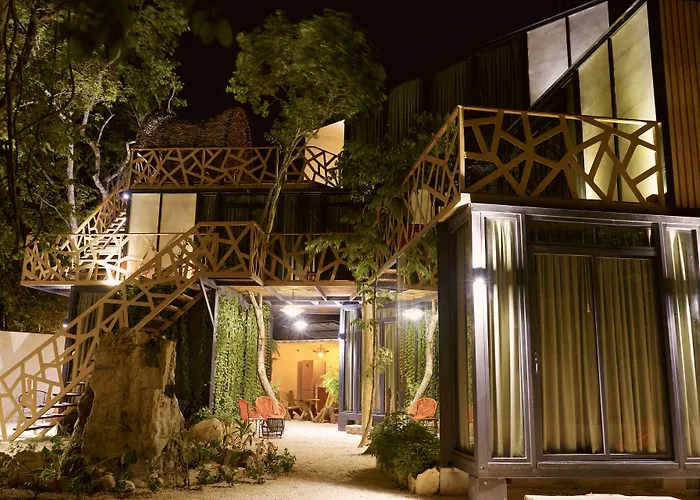 Bufo Alvarius Hotel