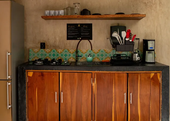 Bufo Alvarius Hotel Tulum