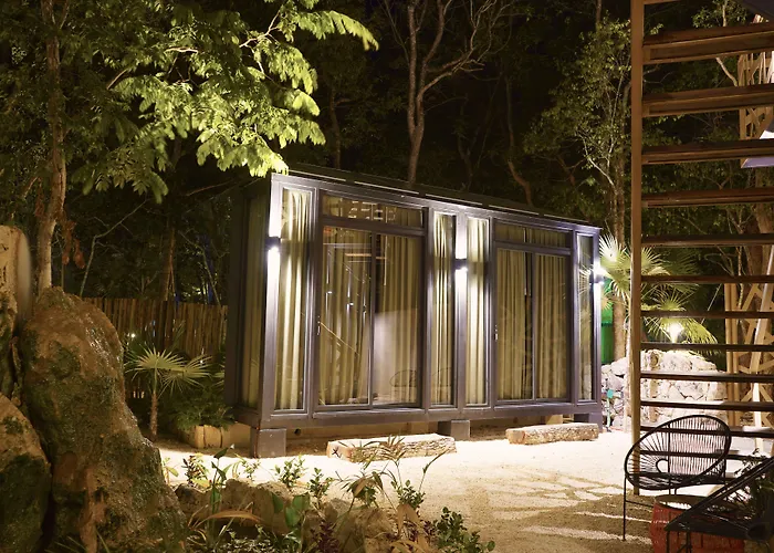 Bufo Alvarius Hotel Tulum