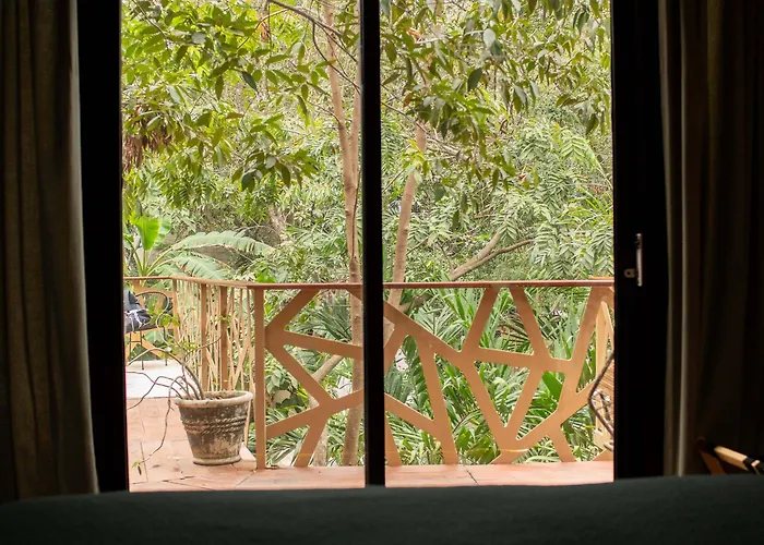 Bufo Alvarius Hotel