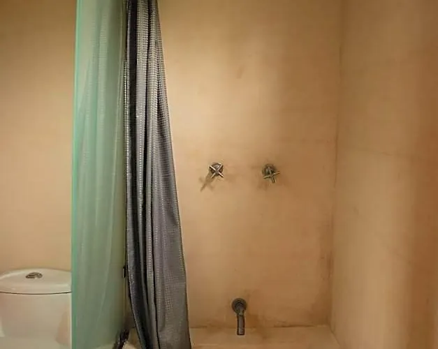 Bufo Alvarius Hotel Tulum