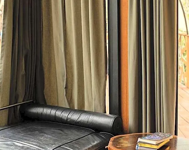 Bufo Alvarius Hotel