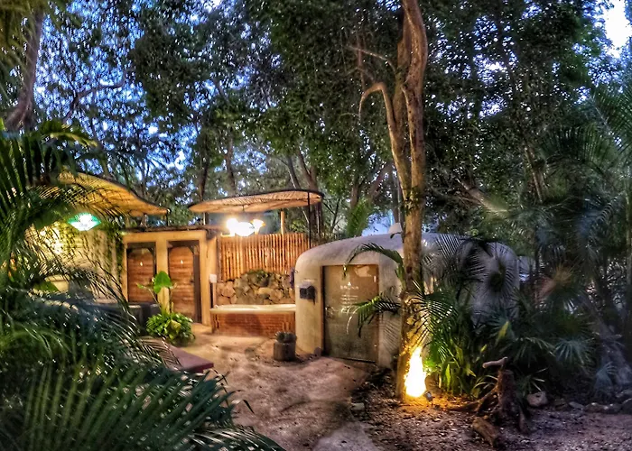 Bufo Alvarius 2* Tulum