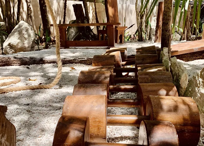 Bufo Alvarius Hotel Tulum