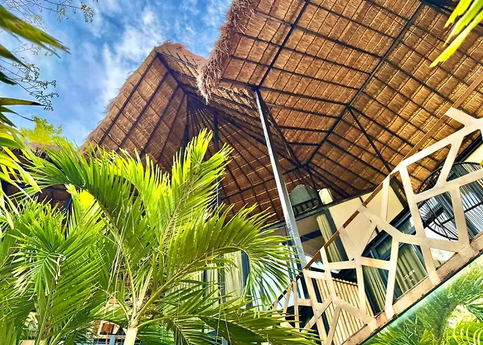 Bufo Alvarius Hotel